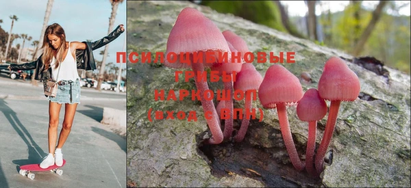 jwh Вяземский