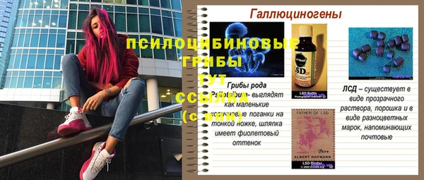 герыч Вязники